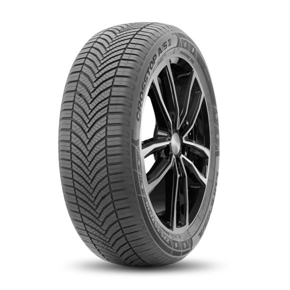 Шины Compasal  175/65/14  T 86 CROSSTOP A/S II  XL Шины Compasal  175/65/14  T 86 CROSSTOP A/S II  XL