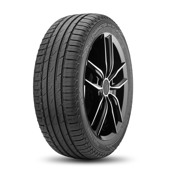 Шины Ikon 215/60 r17 Character Aqua SUV (Nordman S2 SUV) 96H Шины Ikon 215/60 r17 Character Aqua SUV (Nordman S2 SUV) 96H