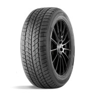 Шины DoubleStar  235/50/19  H 99 DW09 Шины DoubleStar  235/50/19  H 99 DW09