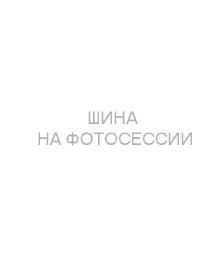 Шины Tunga 195/55R15 89Q Nordway 3 TL (110 шип.)