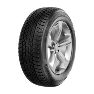 Шины Nexen  195/55/16  T 91 Winguard Ice  XL Шины Nexen  195/55/16  T 91 Winguard Ice  XL