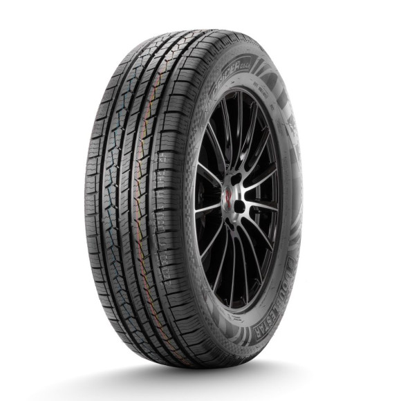 Шины DoubleStar  215/60/17  H 100 DS01 Шины DoubleStar  215/60/17  H 100 DS01